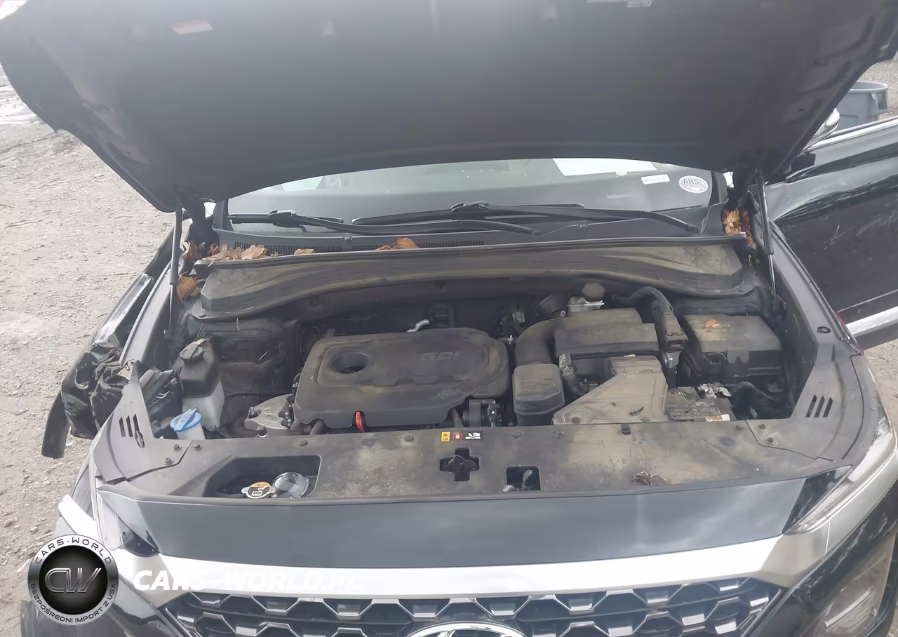 2020 Hyundai Santa Fe Sel VIN:5NMS33AD8LH254515 - 10