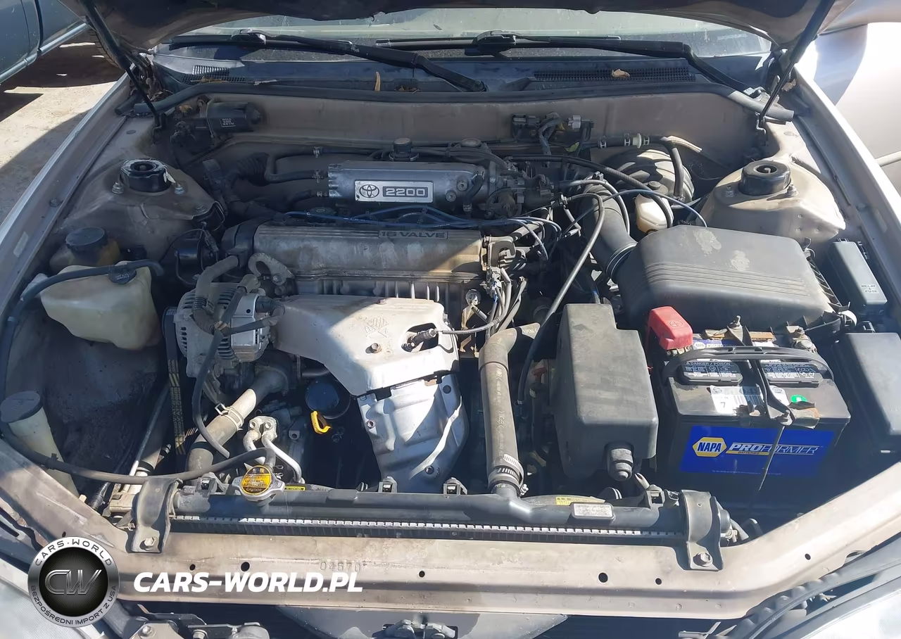 1996 Toyota Camry Dx-Le-Xle VIN:4T1BG12K1TU815194 - 10