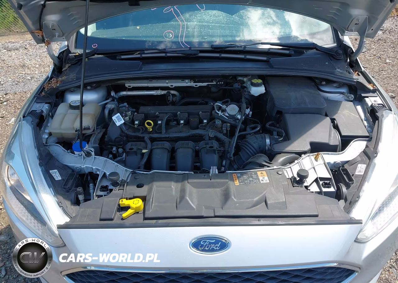 2018 Ford Focus Se VIN:1FADP3K22JL315191 - 10