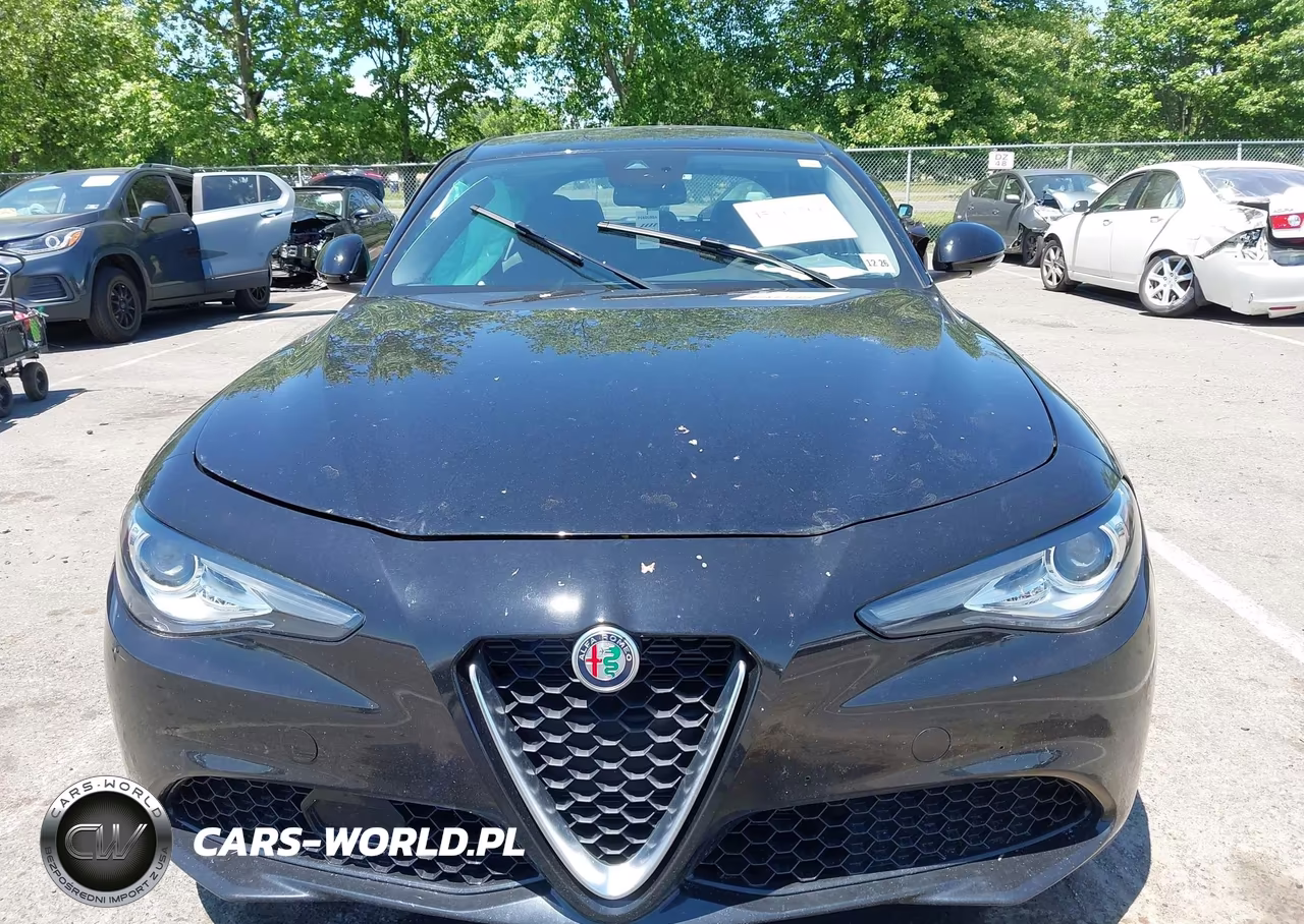 2021 Alfa Romeo Giulia Awd VIN:ZARFANAN1M7646360 - 12