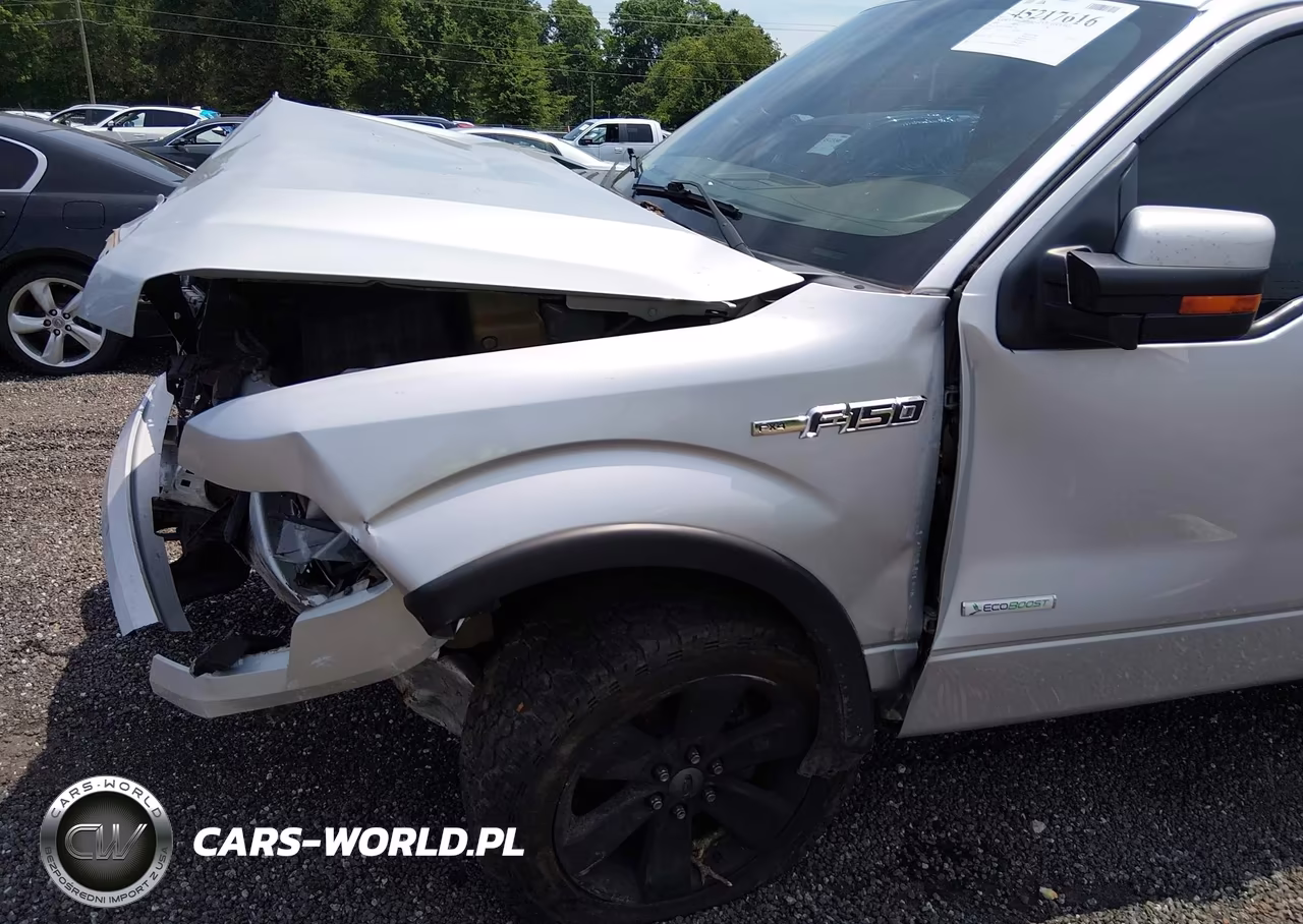 2013 Ford F-150 Fx4 VIN:1FTFW1ET4DKD01706 - 18