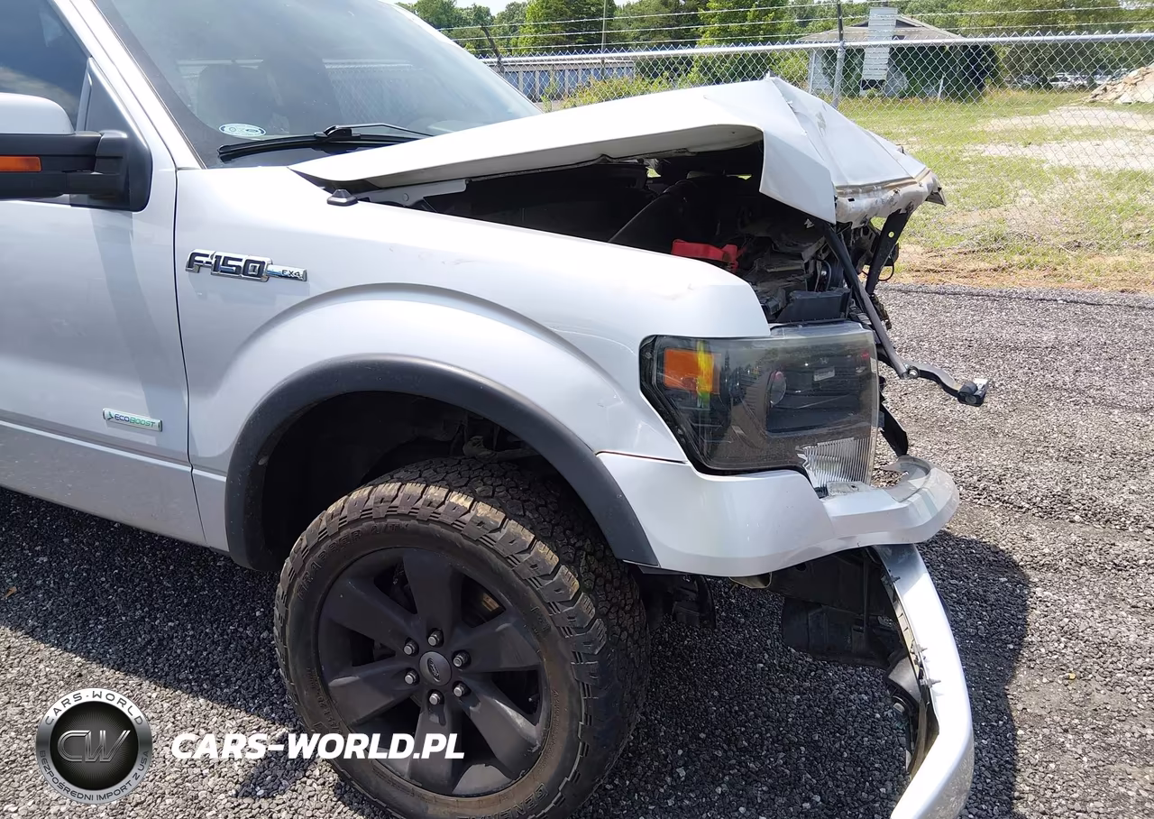 2013 Ford F-150 Fx4 VIN:1FTFW1ET4DKD01706 - 20
