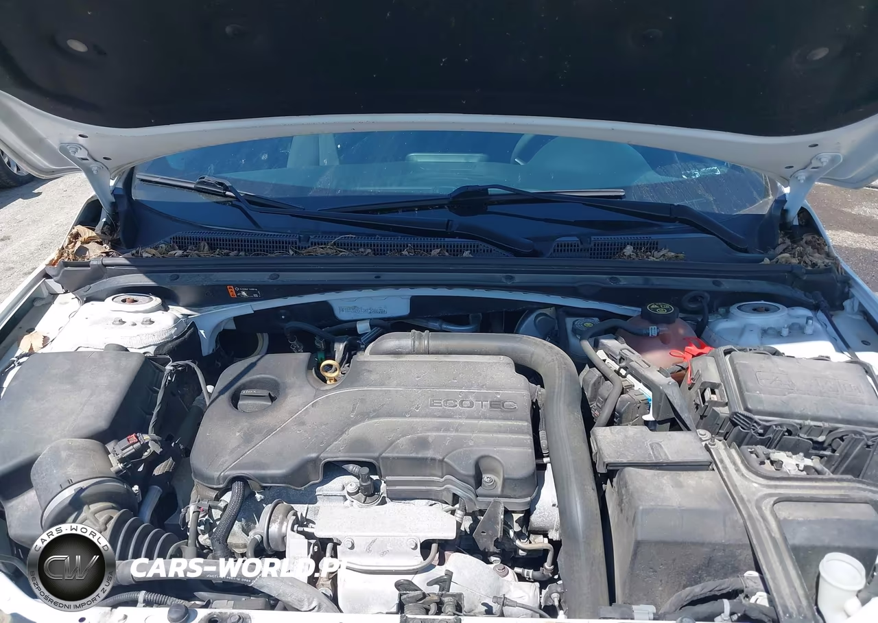 2019 Chevrolet Malibu Rs VIN:1G1ZG5ST3KF206672 - 10