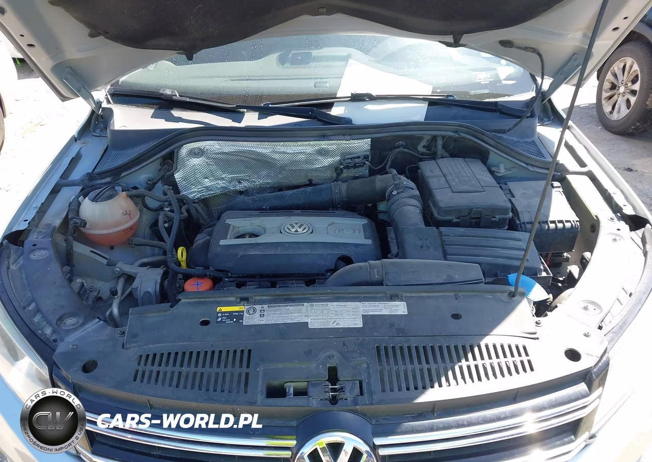 2014 Volkswagen Tiguan S VIN:WVGAV3AX8EW525388 - 10