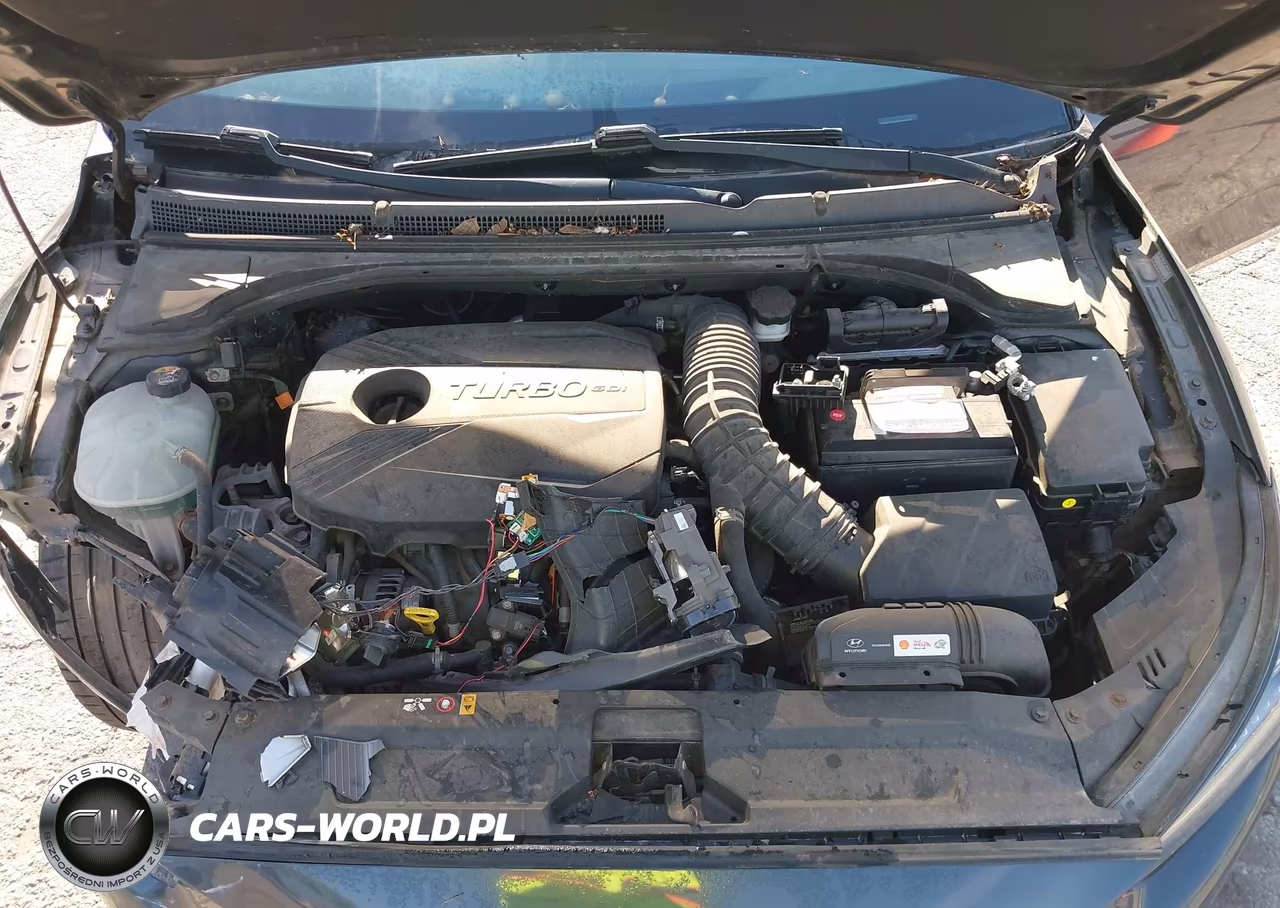 2019 Hyundai Veloster Turbo Ultimate VIN:KMHTH6AB5KU005825 - 10