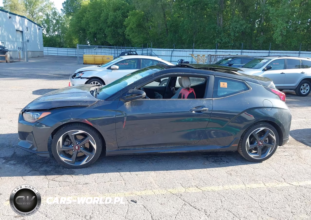 2019 Hyundai Veloster Turbo Ultimate VIN:KMHTH6AB5KU005825 - 13
