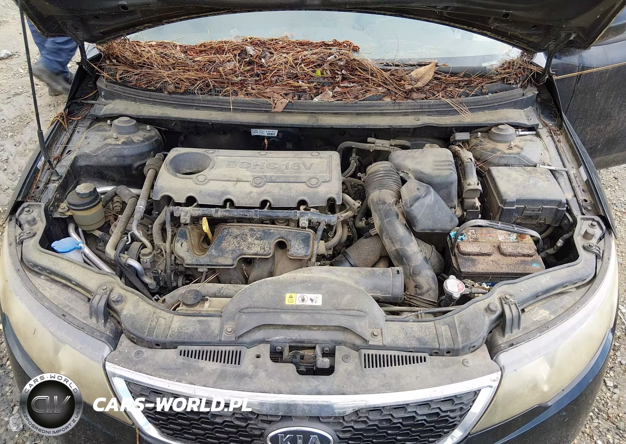 2013 Kia Forte Lx VIN:KNAFT4A29D5648869 - 10