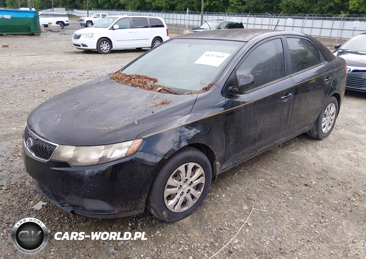 2013 Kia Forte Lx VIN:KNAFT4A29D5648869 - 6