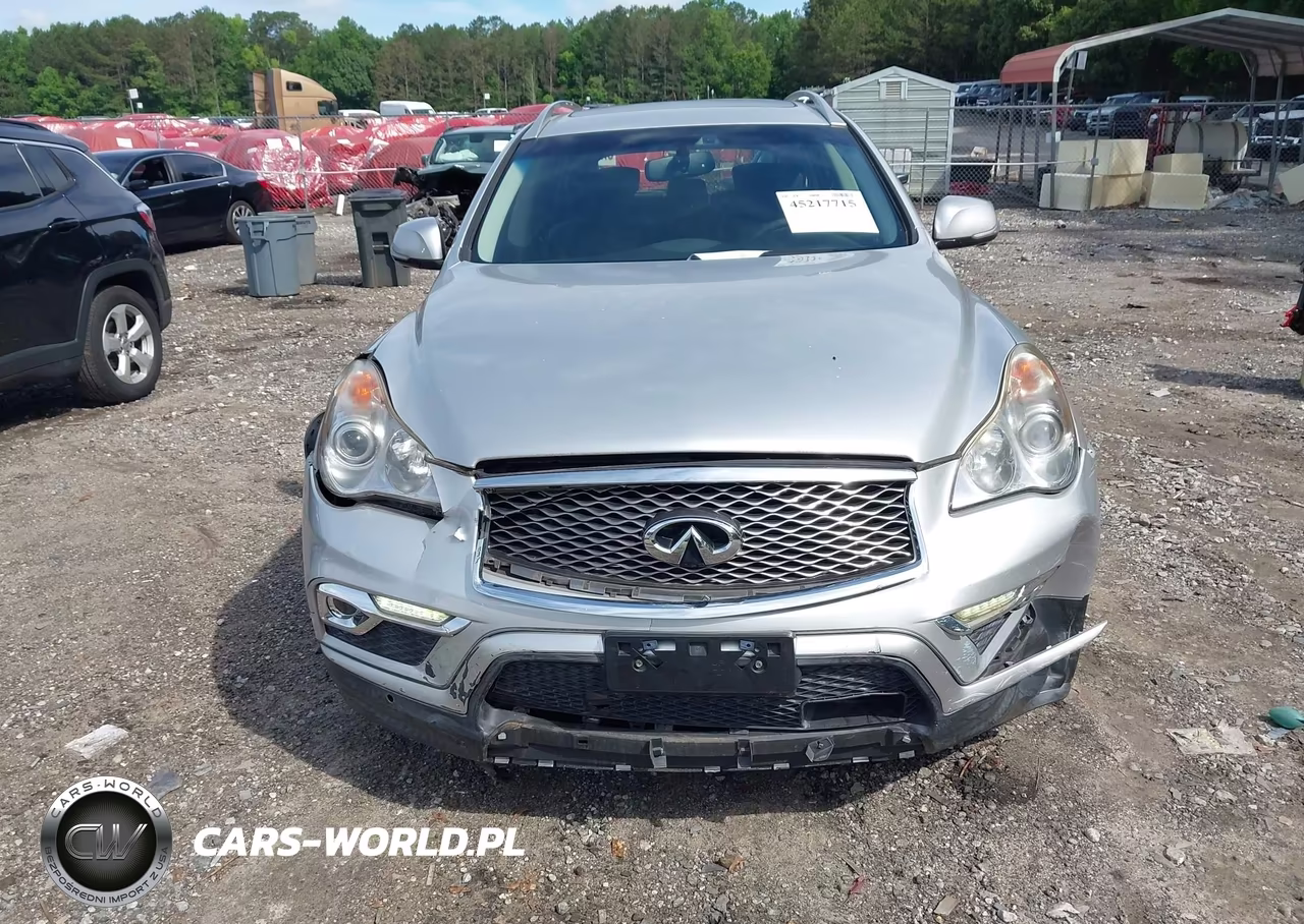2017 Infiniti Qx50 VIN:JN1BJ0RP6HM383830 - 13