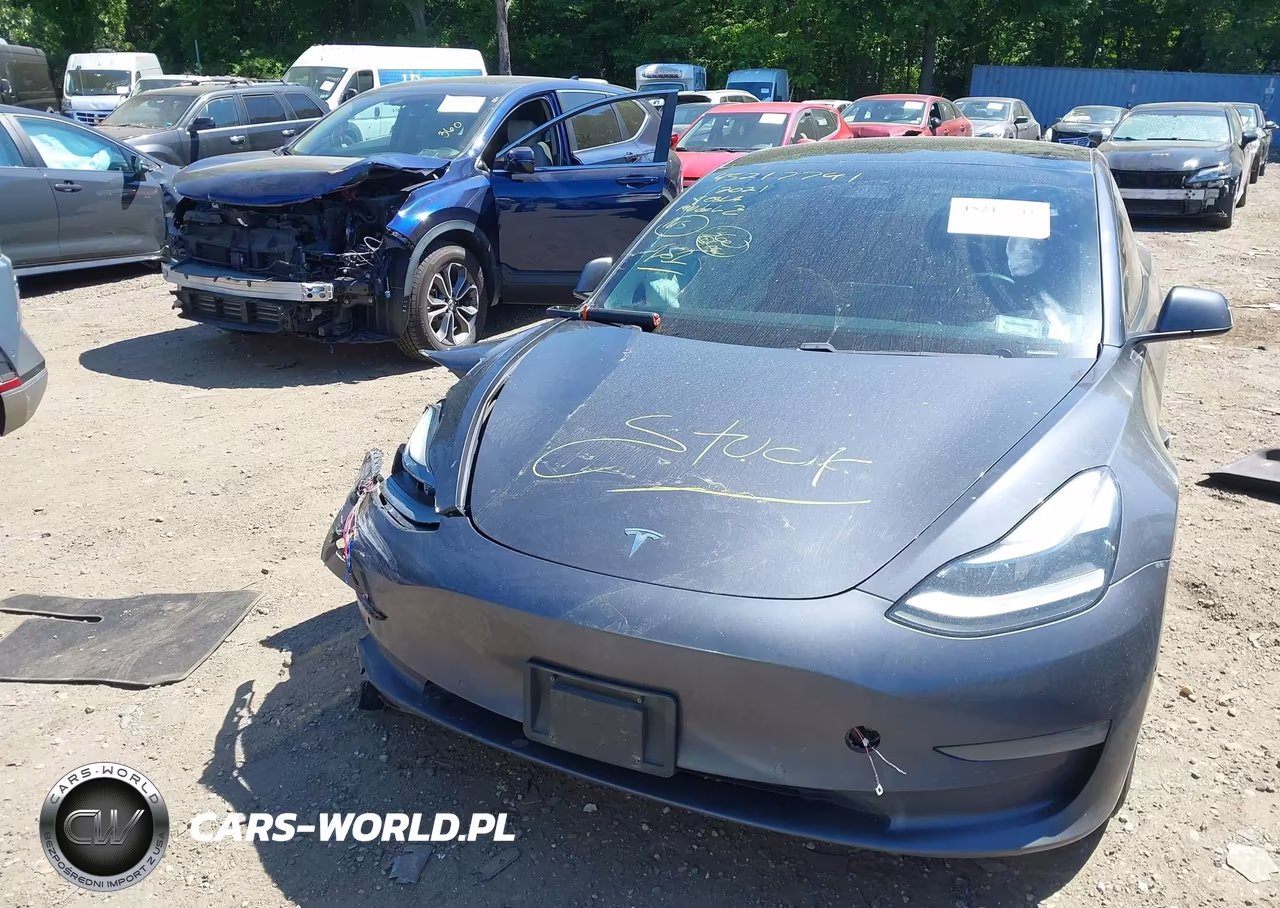 2021 Tesla Model 3 Long Range VIN:5YJ3E1EB5MF979195 - 12