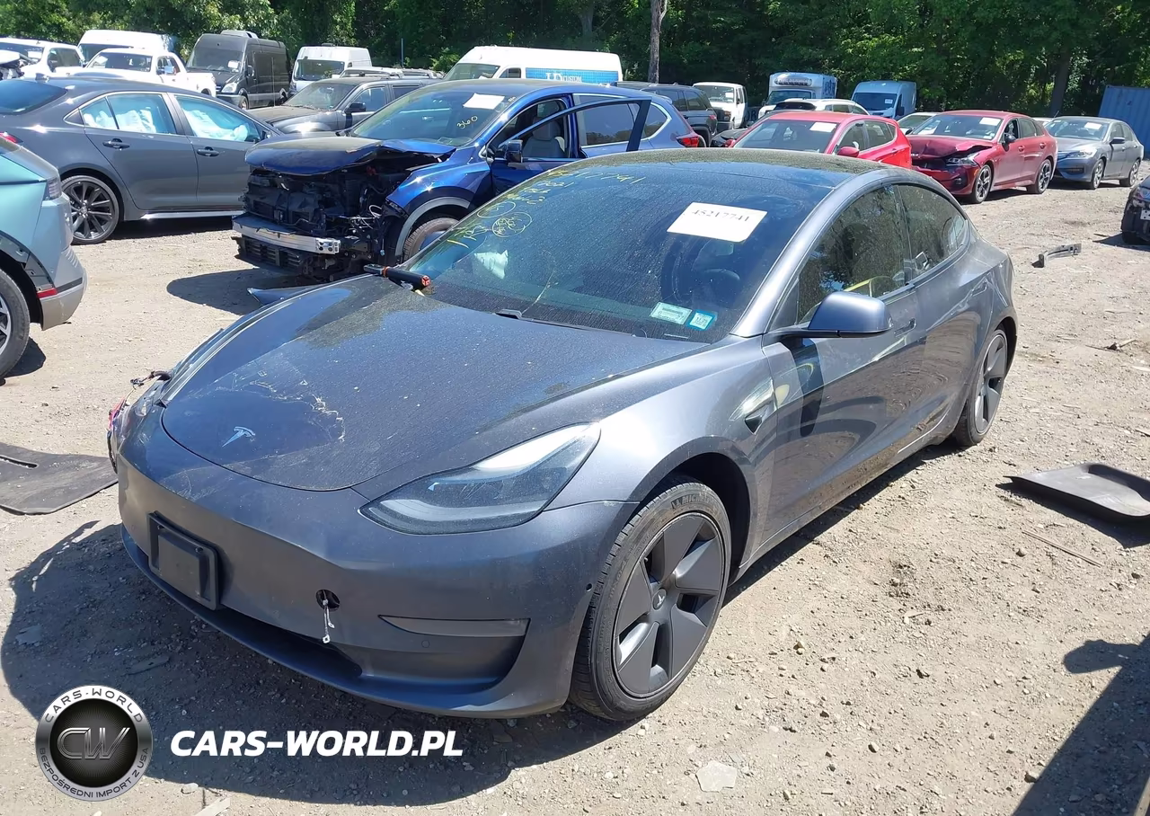 2021 Tesla Model 3 Long Range VIN:5YJ3E1EB5MF979195 - 2