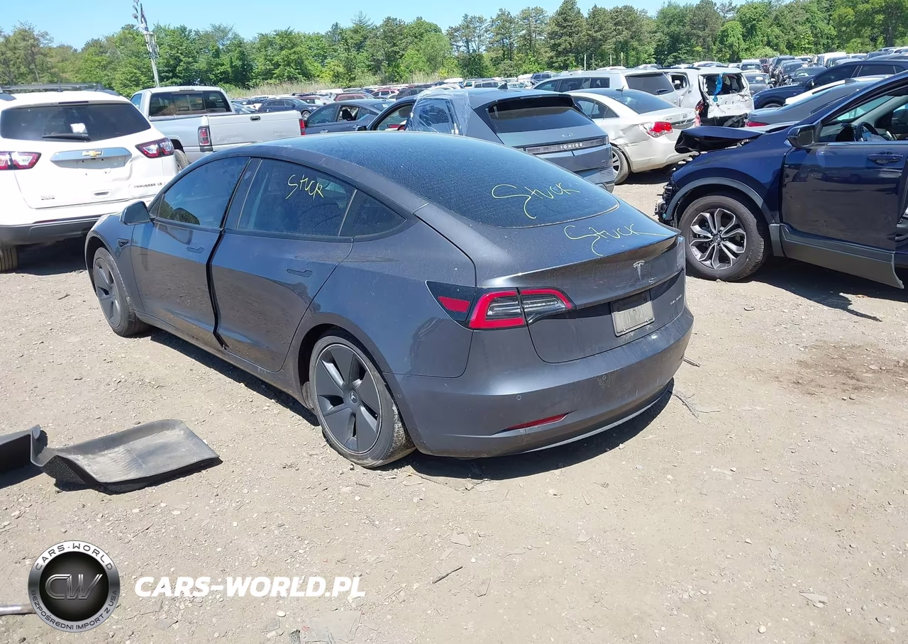 2021 Tesla Model 3 Long Range VIN:5YJ3E1EB5MF979195 - 3