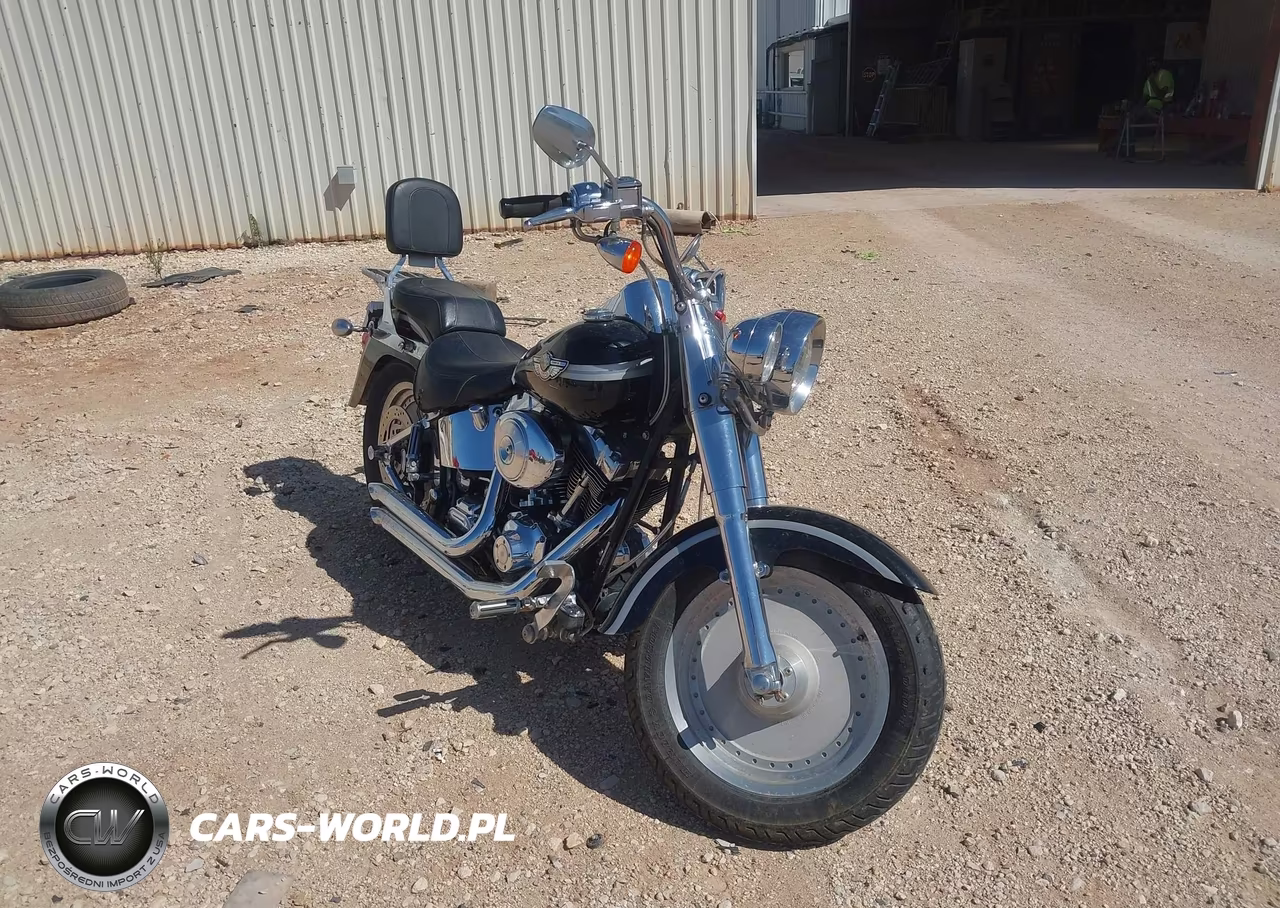 2003 Harley-Davidson Flstf
