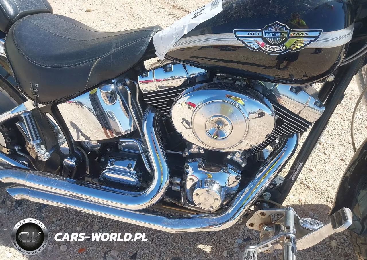 2003 Harley-Davidson Flstf VIN:1HD1BMY103Y086465 - 8