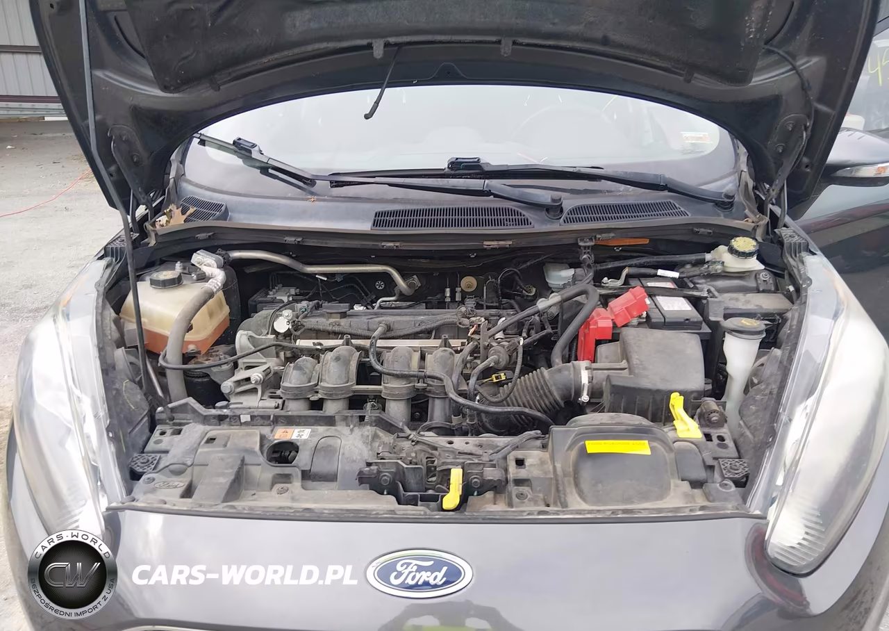 2016 Ford Fiesta Se VIN:3FADP4BJ9GM202925 - 10