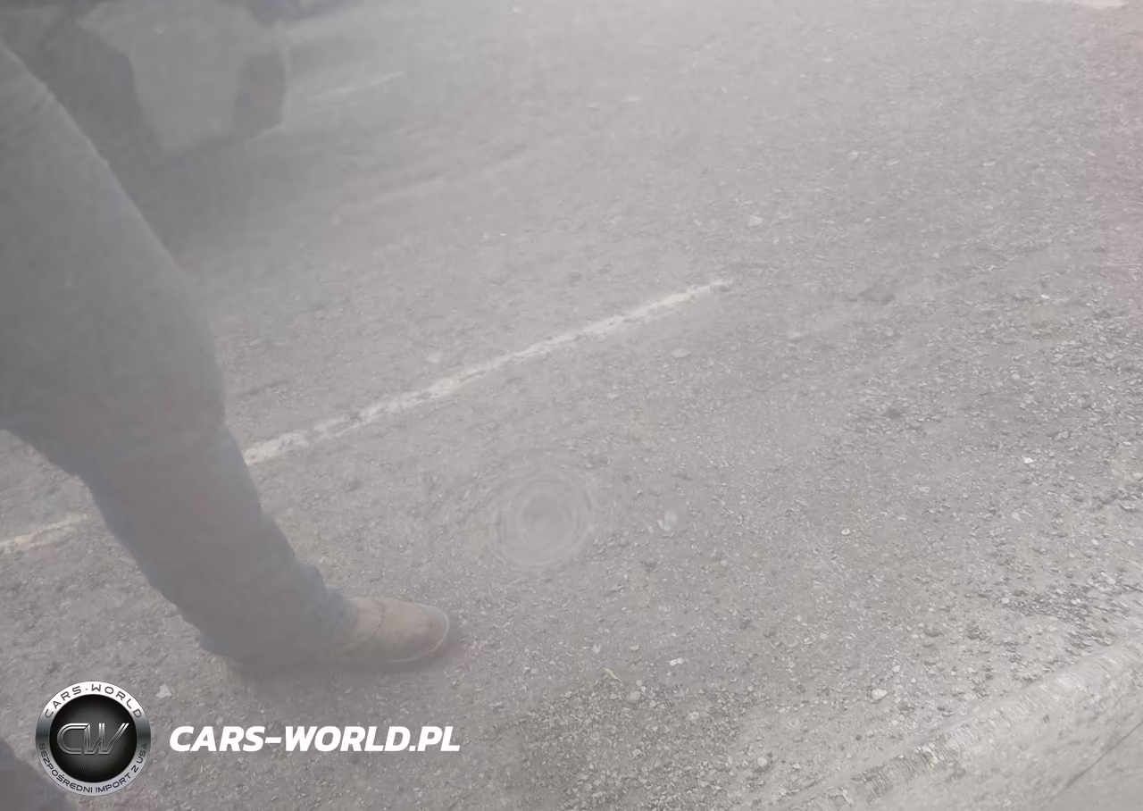 2020 Toyota Sienna Xle Premium VIN:5TDDZ3DCXLS239764 - 16