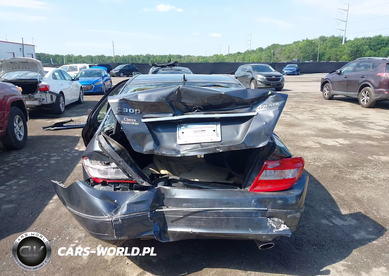 2010 Mercedes-Benz C 300 Luxury 4Matic VIN:WDDGF8BB5AF466067 - 16