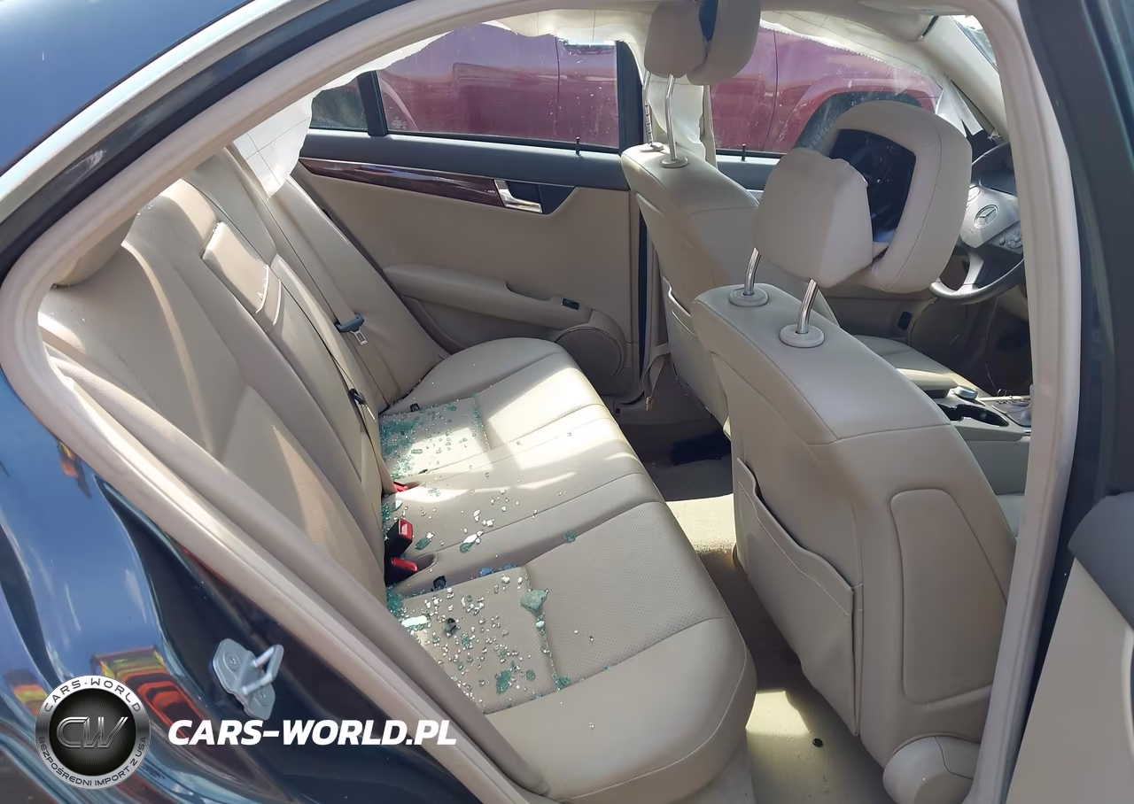 2010 Mercedes-Benz C 300 Luxury 4Matic VIN:WDDGF8BB5AF466067 - 8