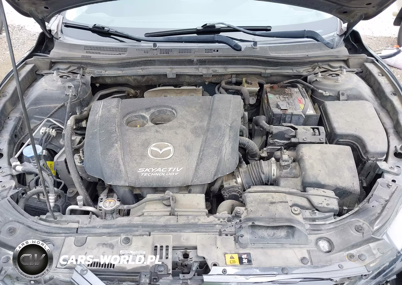 2016 Mazda Mazda3 I Sport VIN:3MZBM1J70GM255606 - 10