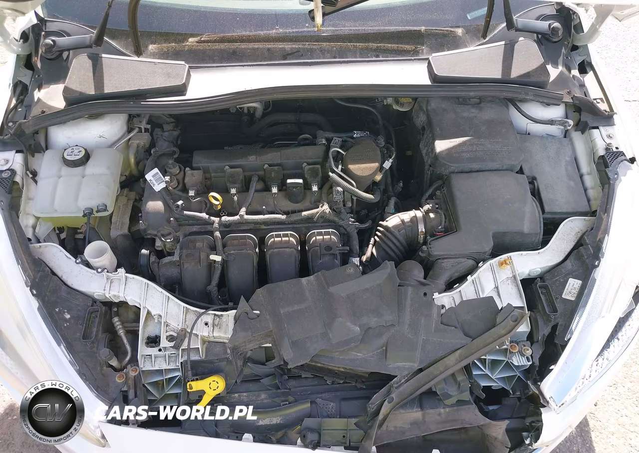 2016 Ford Focus Se VIN:1FADP3F21GL294806 - 10