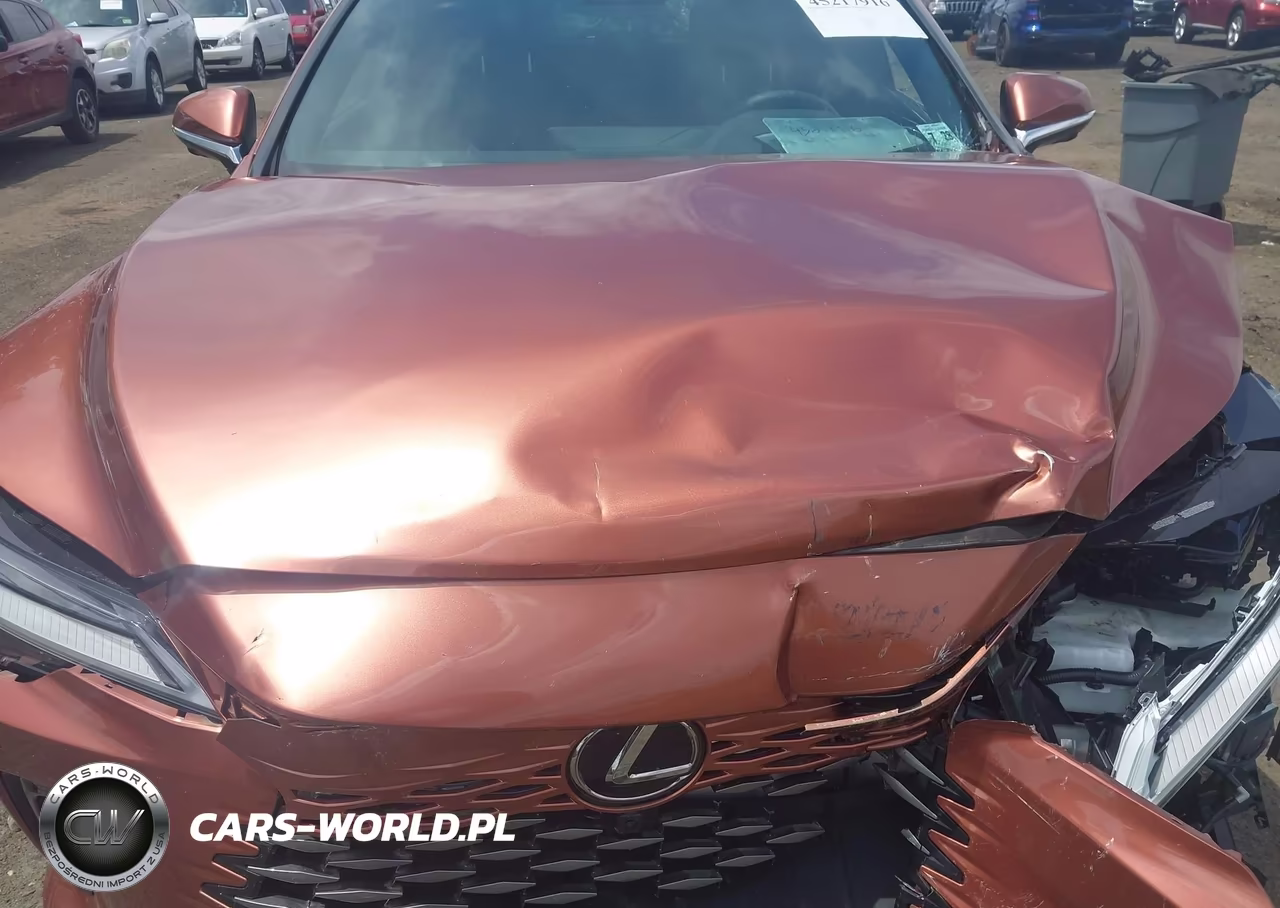 2023 Lexus Rx 350 Luxury VIN:2T2BAMCA1PC019556 - 10