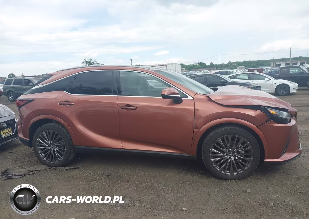 2023 Lexus Rx 350 Luxury VIN:2T2BAMCA1PC019556 - 13