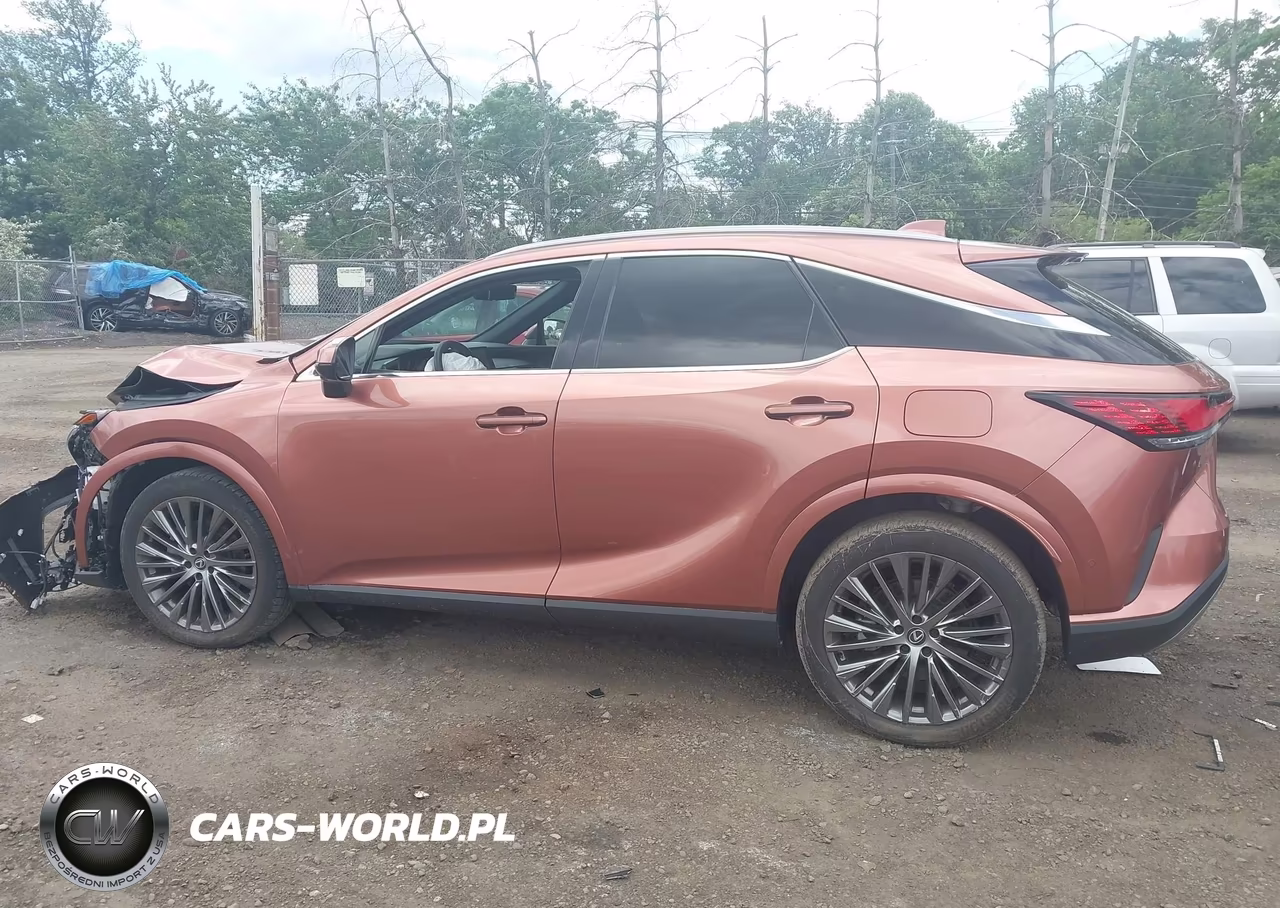 2023 Lexus Rx 350 Luxury VIN:2T2BAMCA1PC019556 - 14
