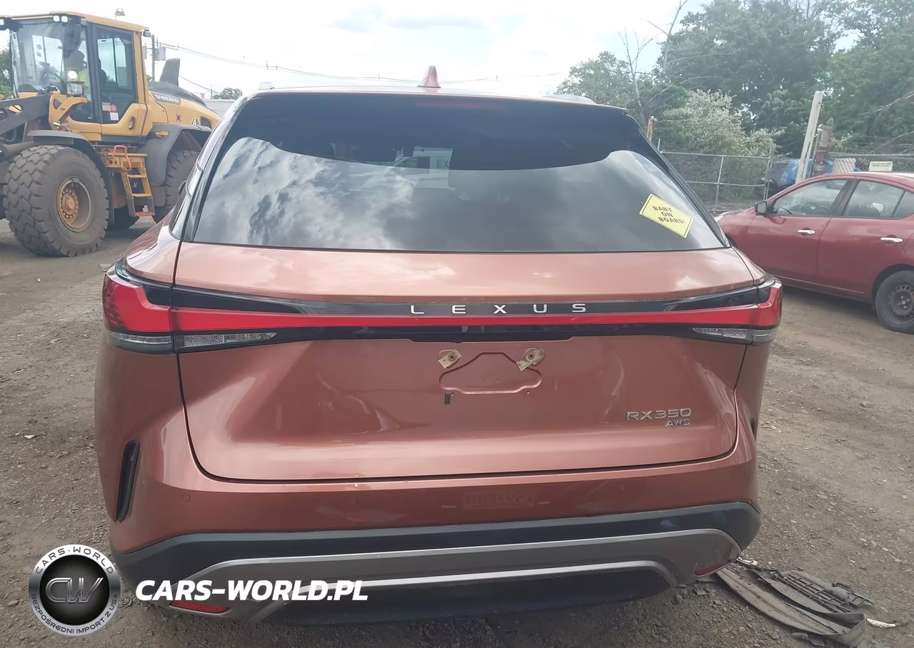 2023 Lexus Rx 350 Luxury VIN:2T2BAMCA1PC019556 - 16