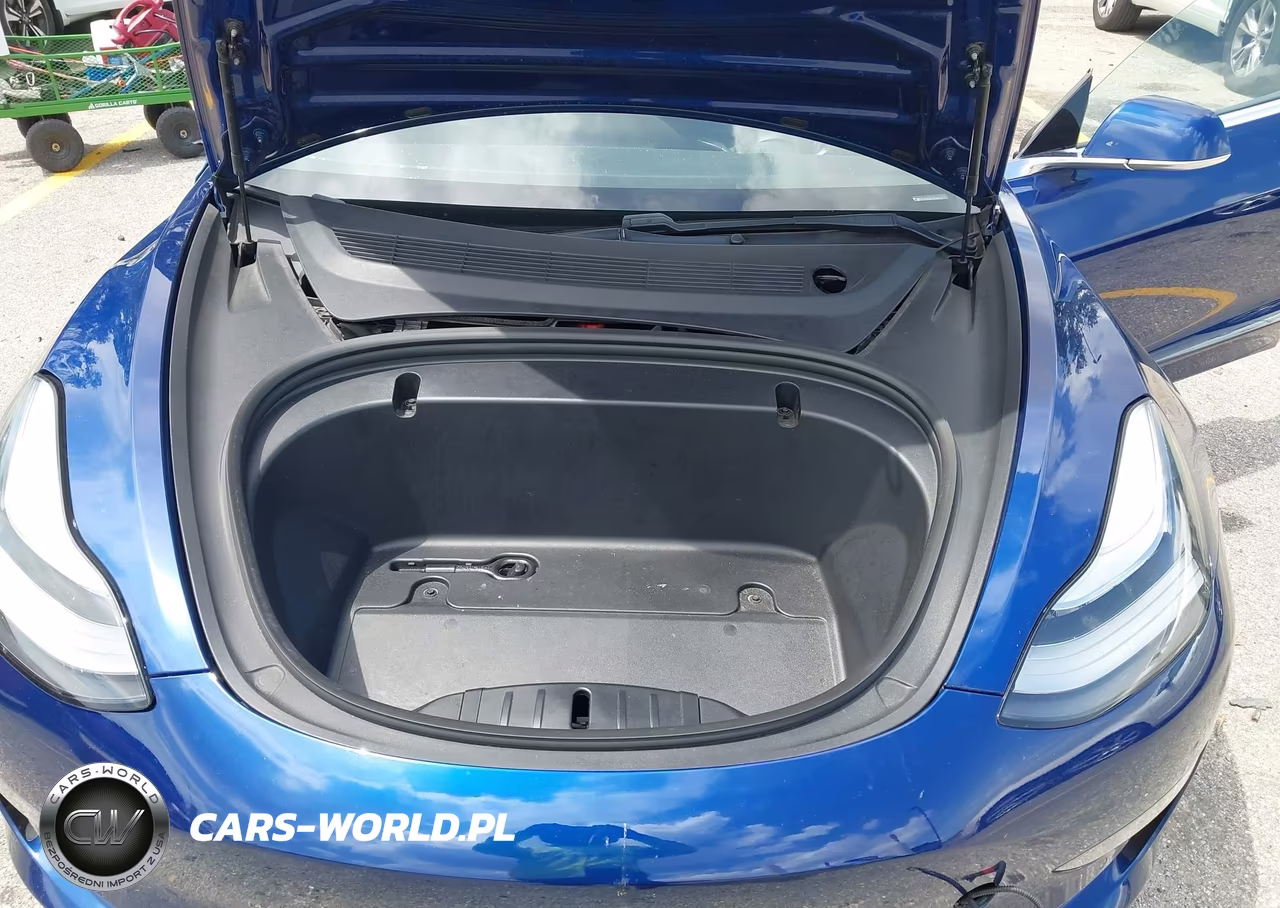 2020 Tesla Model 3 Long Range Dual Motor All-Wheel Drive VIN:5YJ3E1EBXLF648028 - 10