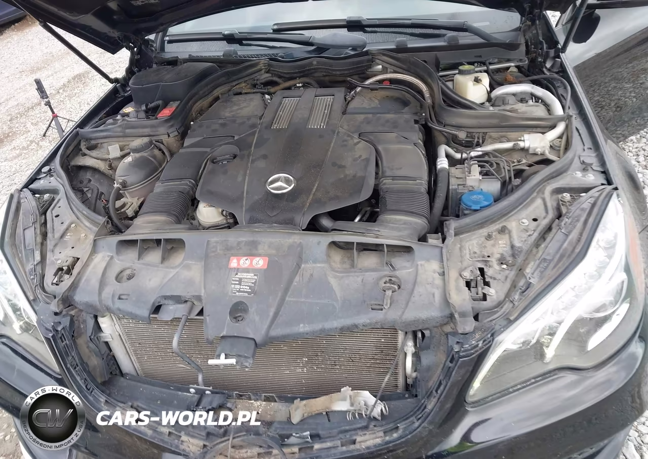 2016 Mercedes-Benz E 400 VIN:WDDKJ6FB9GF347809 - 10