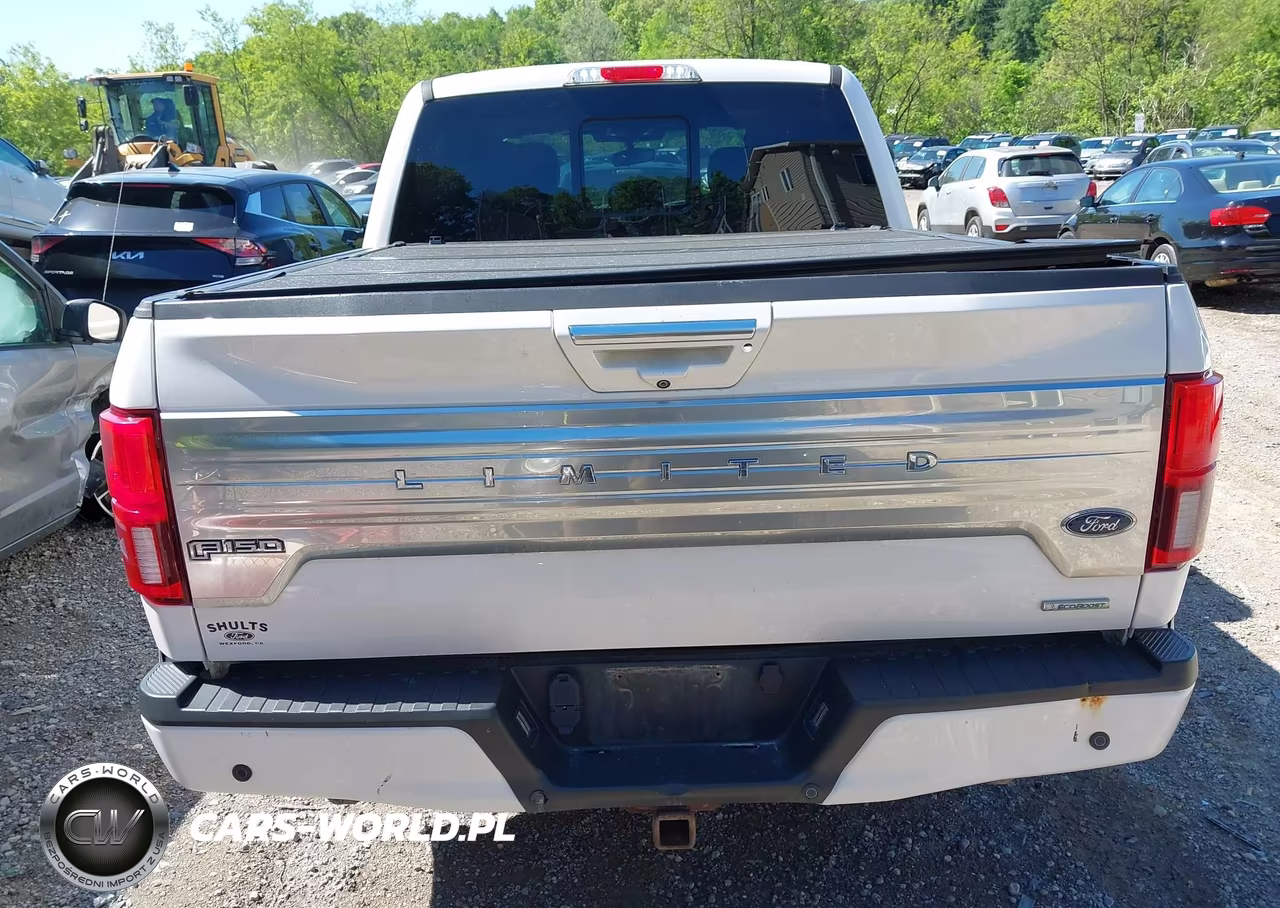 2018 Ford F-150 Limited VIN:1FTEW1EG8JFB23737 - 16