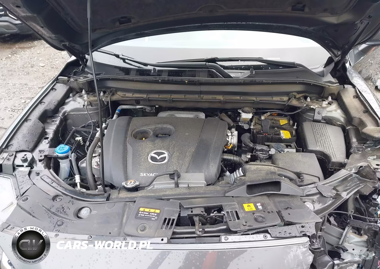 2022 Mazda Cx-5 2.5 S Premium VIN:JM3KFBDM1N1619666 - 10