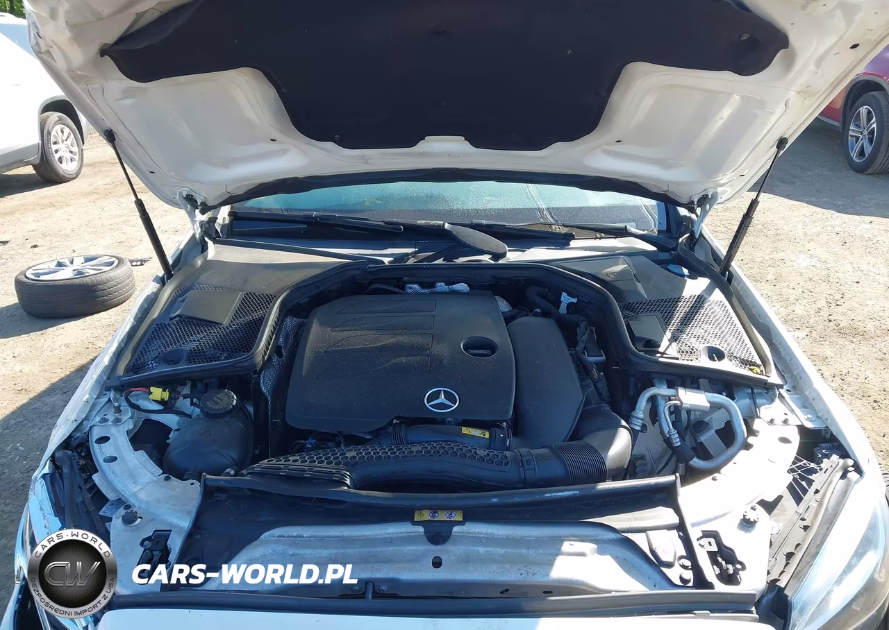 2019 Mercedes-Benz C 300 4Matic VIN:55SWF8EB4KU290196 - 10