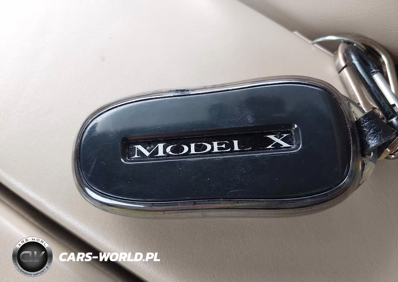 2016 Tesla Model X 75D-P100D-P90D VIN:5YJXCBE45GF006563 - 10