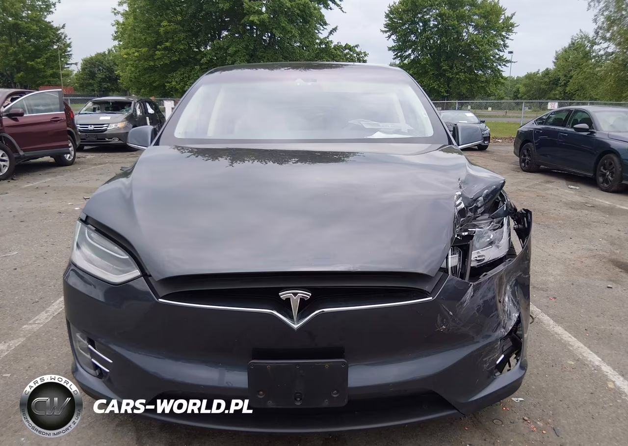 2016 Tesla Model X 75D-P100D-P90D VIN:5YJXCBE45GF006563 - 6