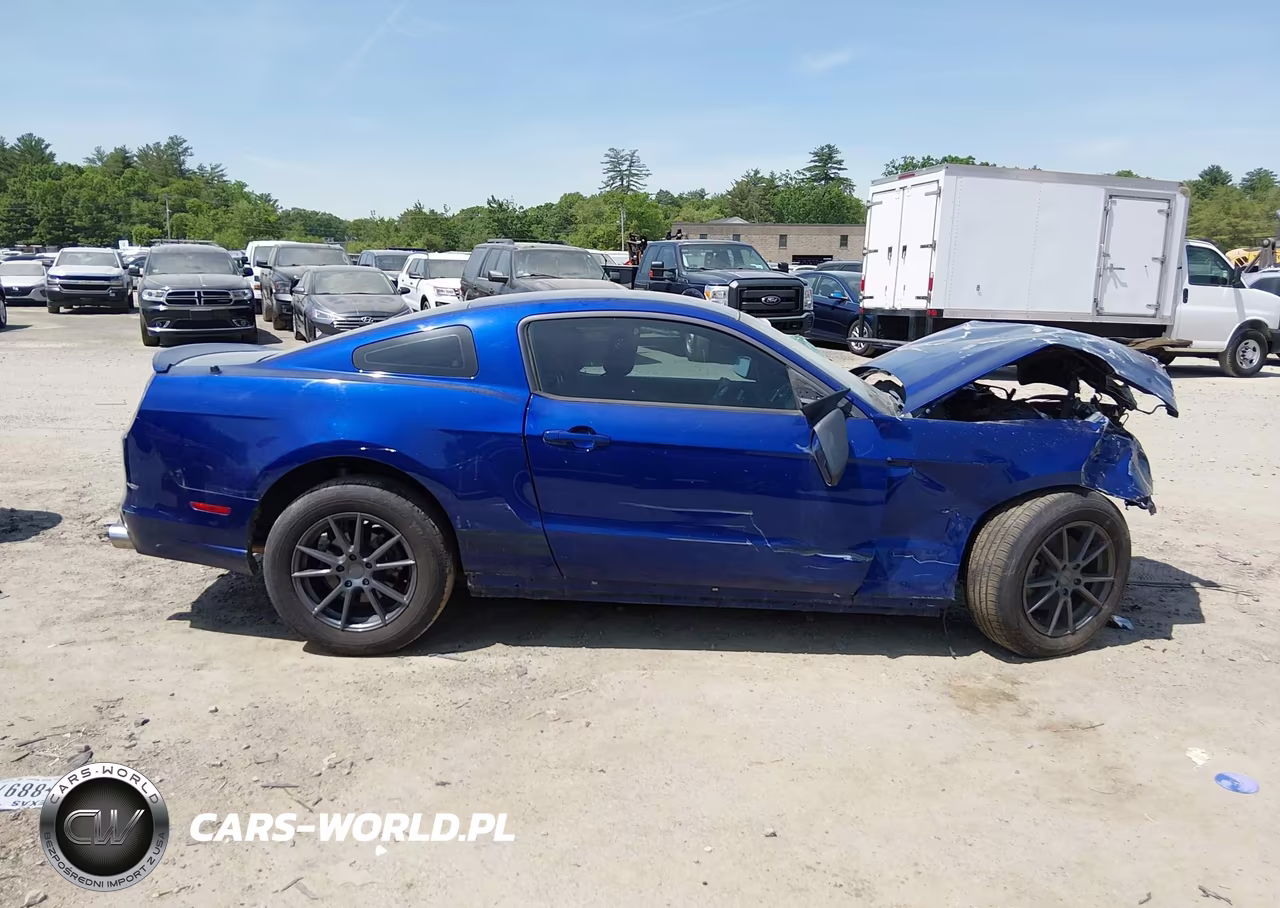 2013 Ford Mustang V6 VIN:1ZVBP8AM2D5213266 - 12
