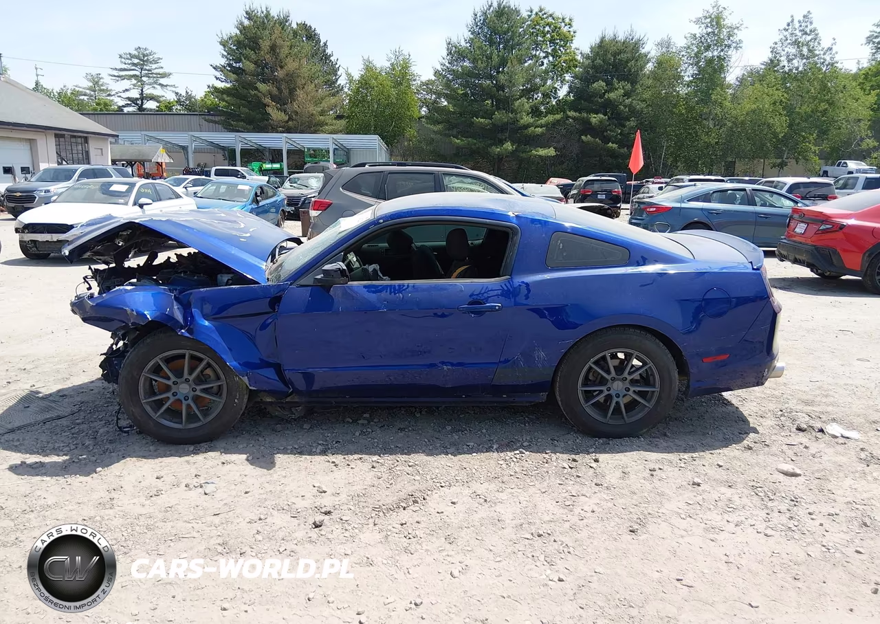 2013 Ford Mustang V6 VIN:1ZVBP8AM2D5213266 - 13