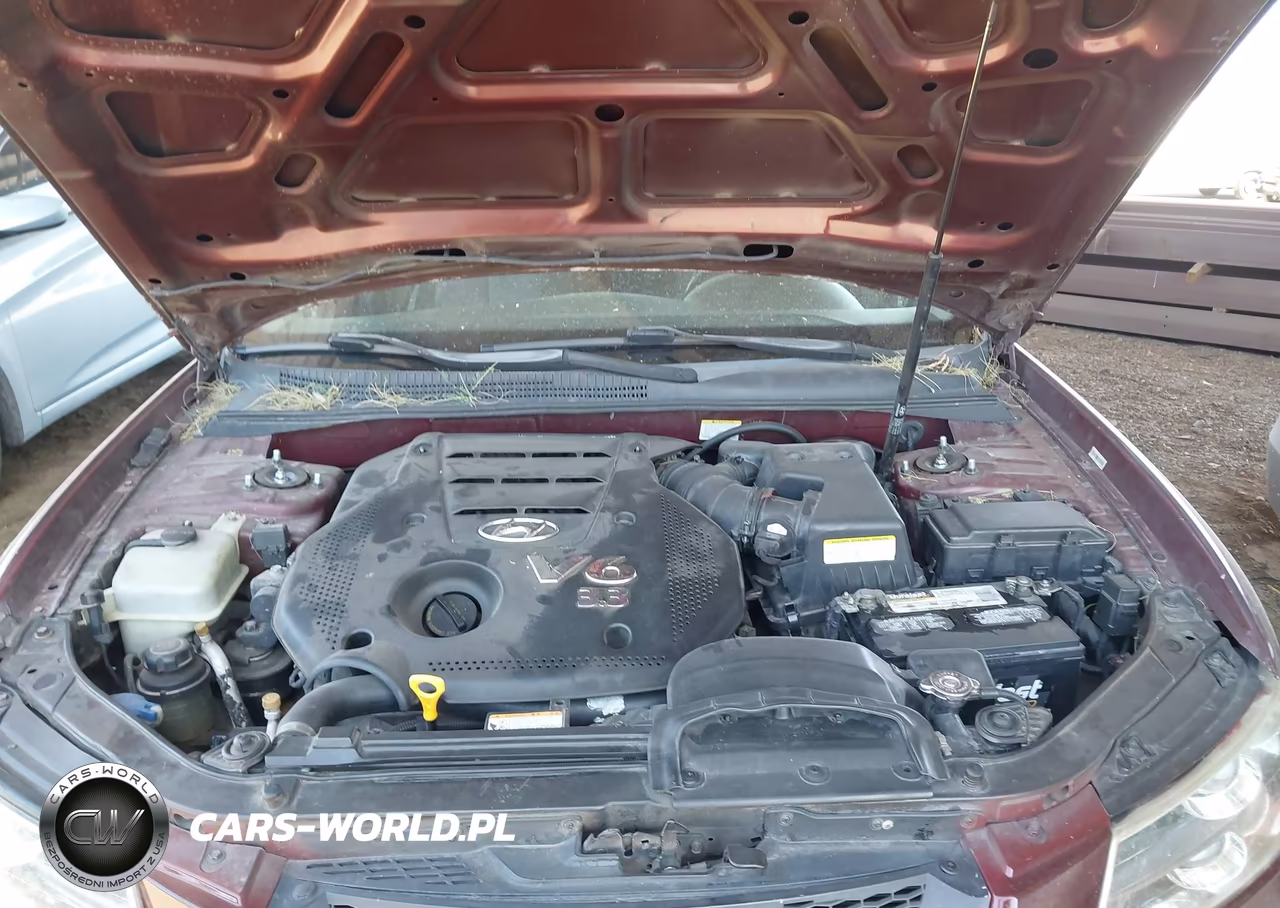2008 Hyundai Sonata Limited V6-Se V6 VIN:5NPEU46F38H385775 - 10