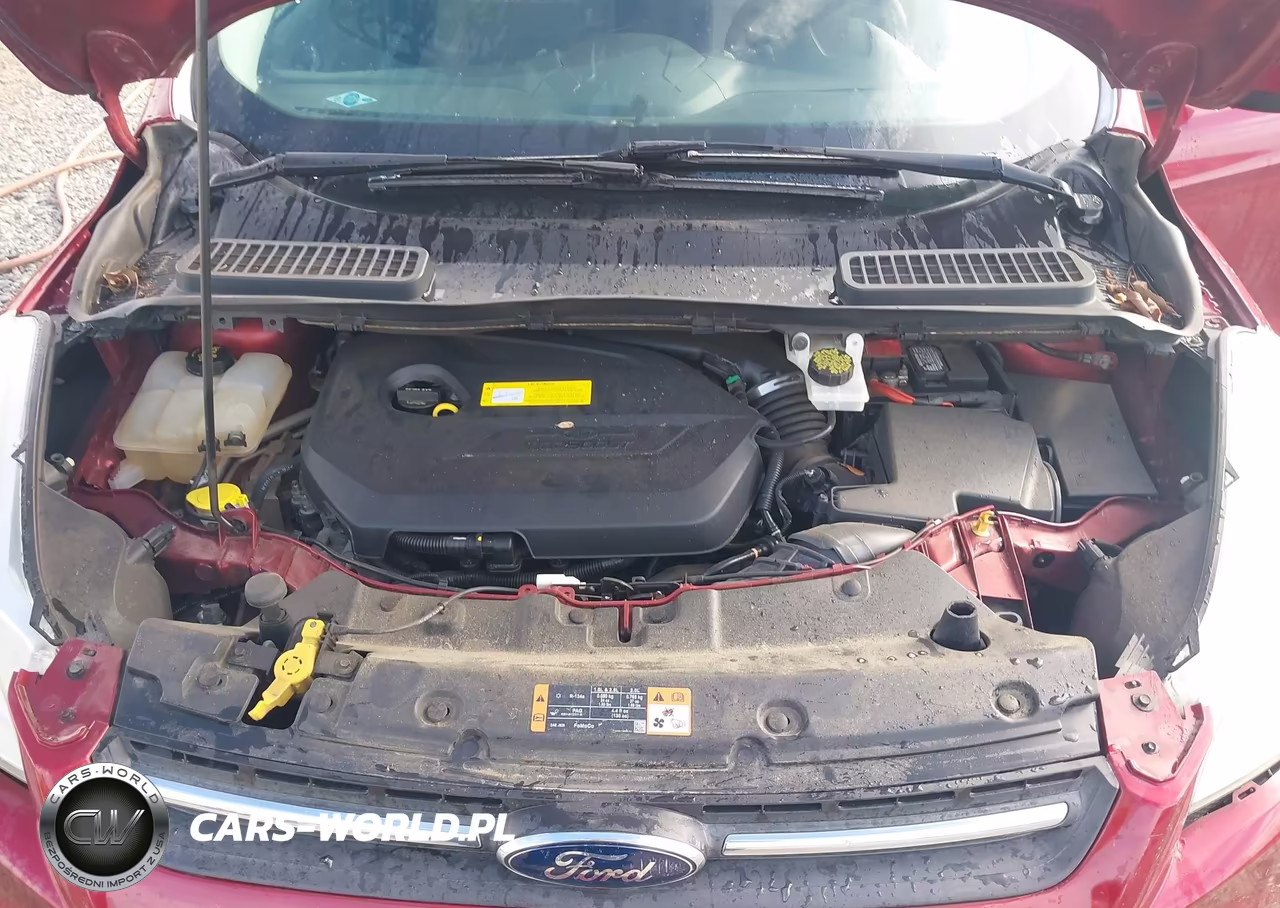 2015 Ford Escape Se VIN:1FMCU0GX4FUC10702 - 10