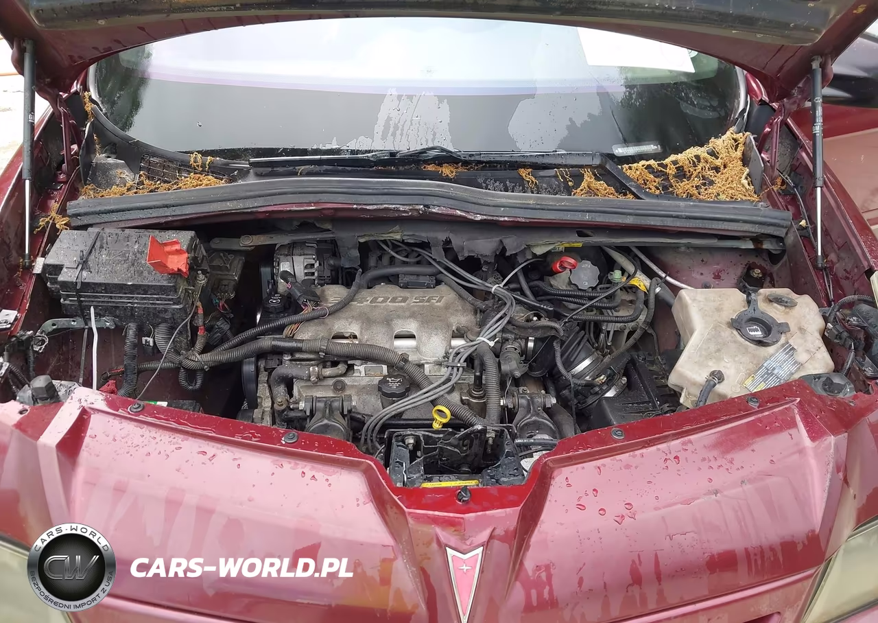 2004 Pontiac Aztek VIN:3G7DA03E44S518020 - 10