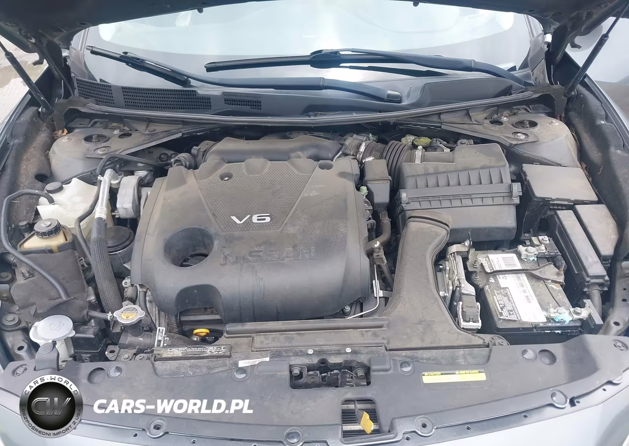 2017 Nissan Maxima 3.5 Sl VIN:1N4AA6AP4HC382999 - 10