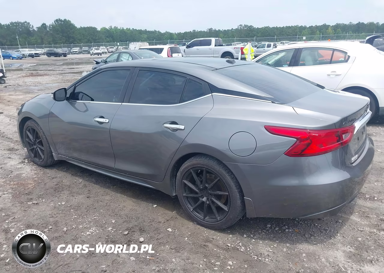 2017 Nissan Maxima 3.5 Sl VIN:1N4AA6AP4HC382999 - 14
