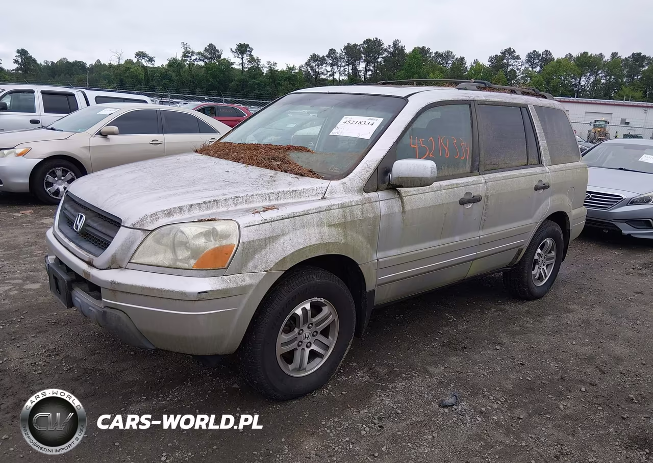 2005 Honda Pilot Ex-L VIN:5FNYF18685B031294 - 2