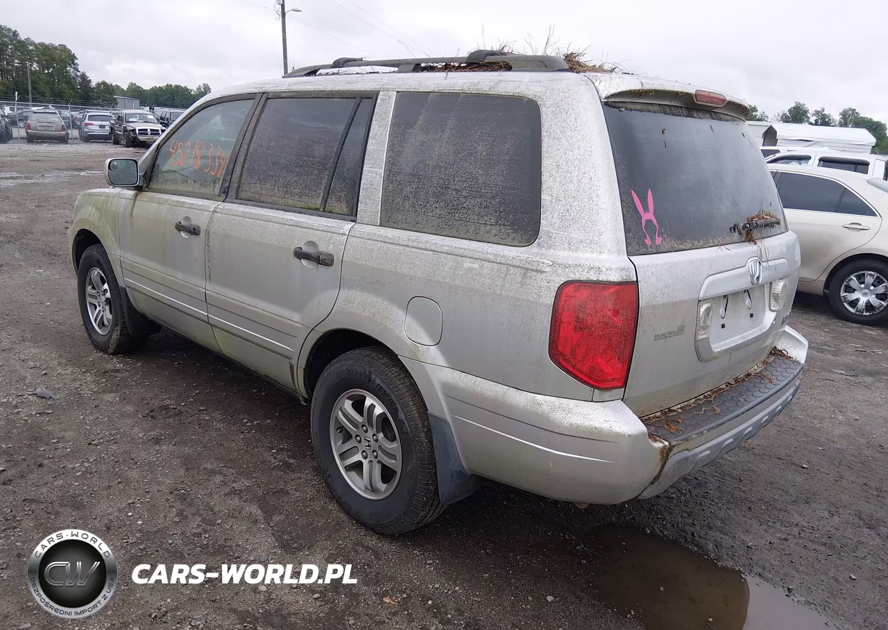 2005 Honda Pilot Ex-L VIN:5FNYF18685B031294 - 3