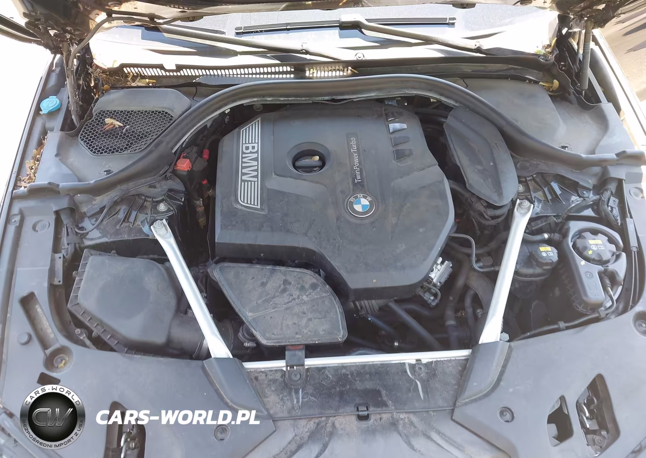 2019 BMW 530I xDrive VIN:WBAJA7C56KG911863 - 10