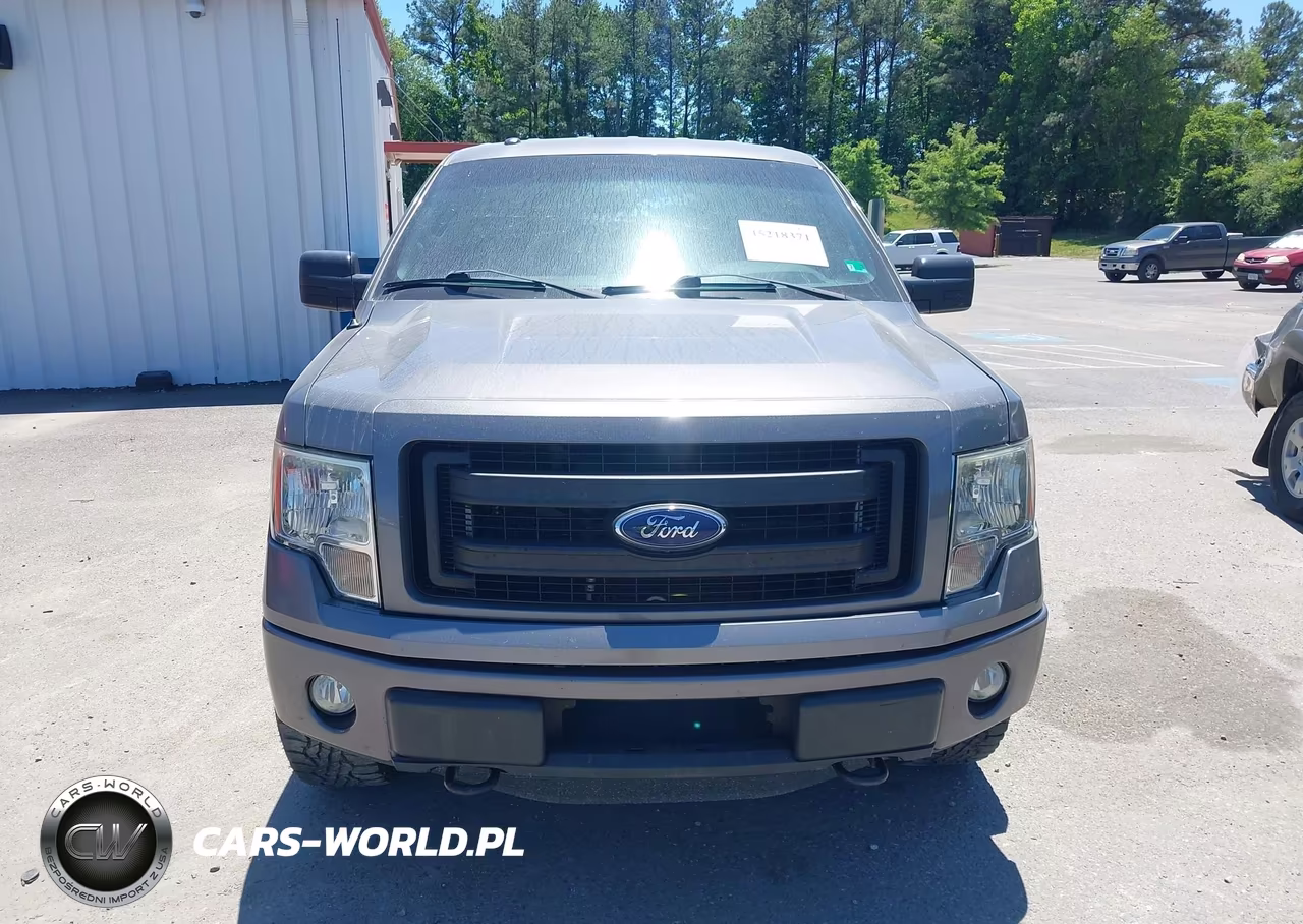2013 Ford F-150 Stx VIN:1FTFX1EF3DFD15984 - 12