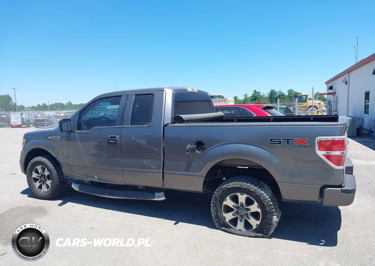 2013 Ford F-150 Stx VIN:1FTFX1EF3DFD15984 - 14