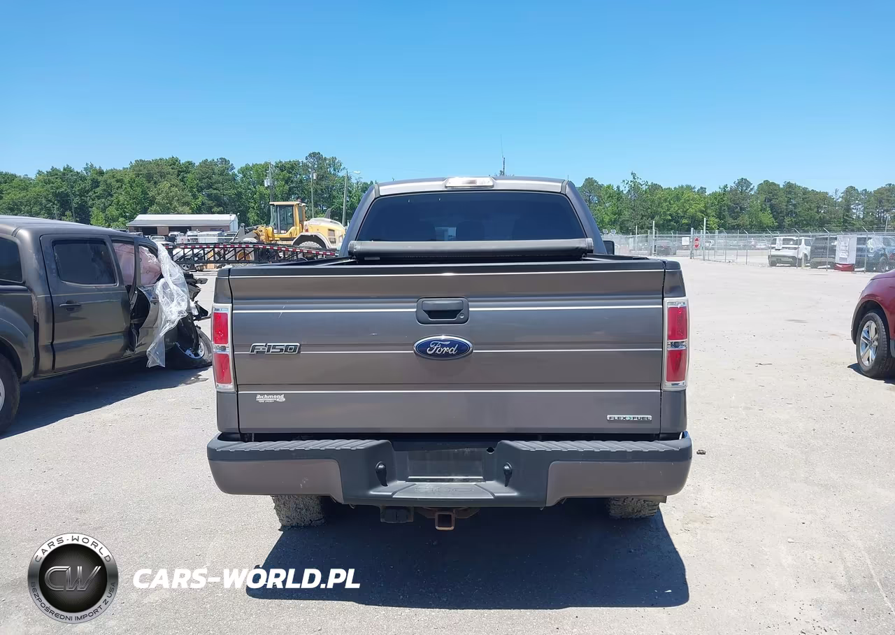 2013 Ford F-150 Stx VIN:1FTFX1EF3DFD15984 - 16