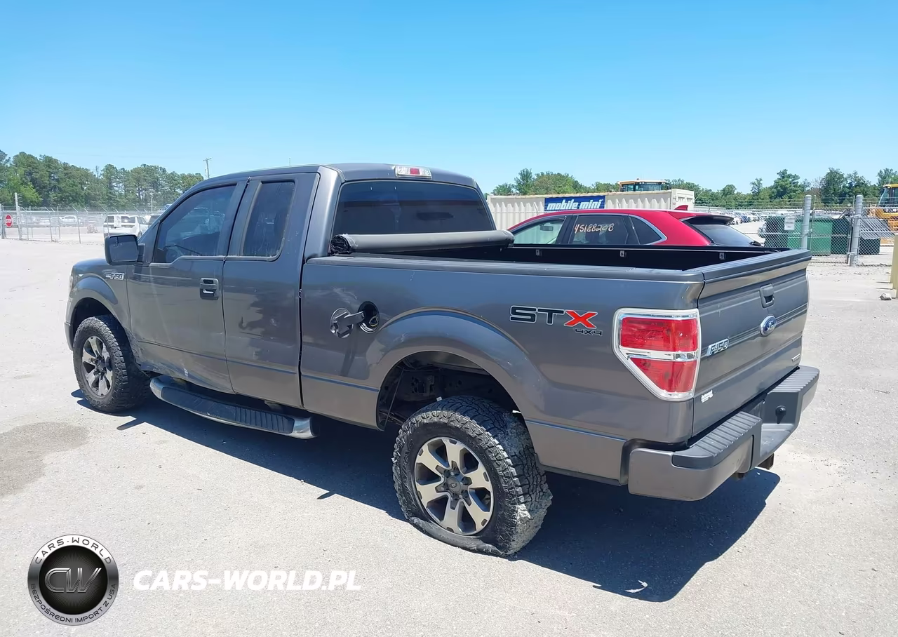 2013 Ford F-150 Stx VIN:1FTFX1EF3DFD15984 - 3