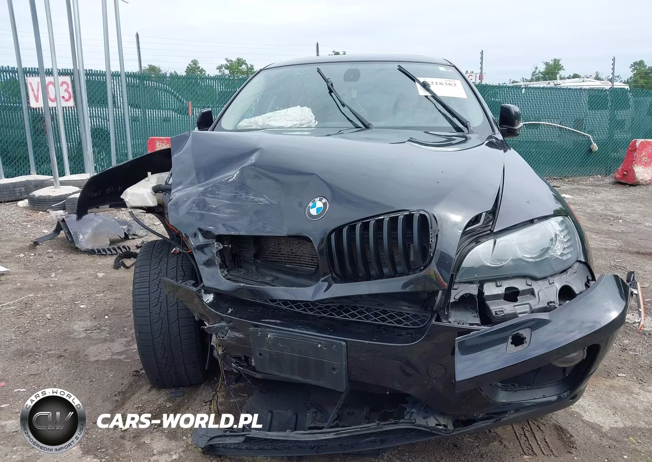 2014 BMW X6 xDrive35I VIN:5UXFG2C53E0C43917 - 13